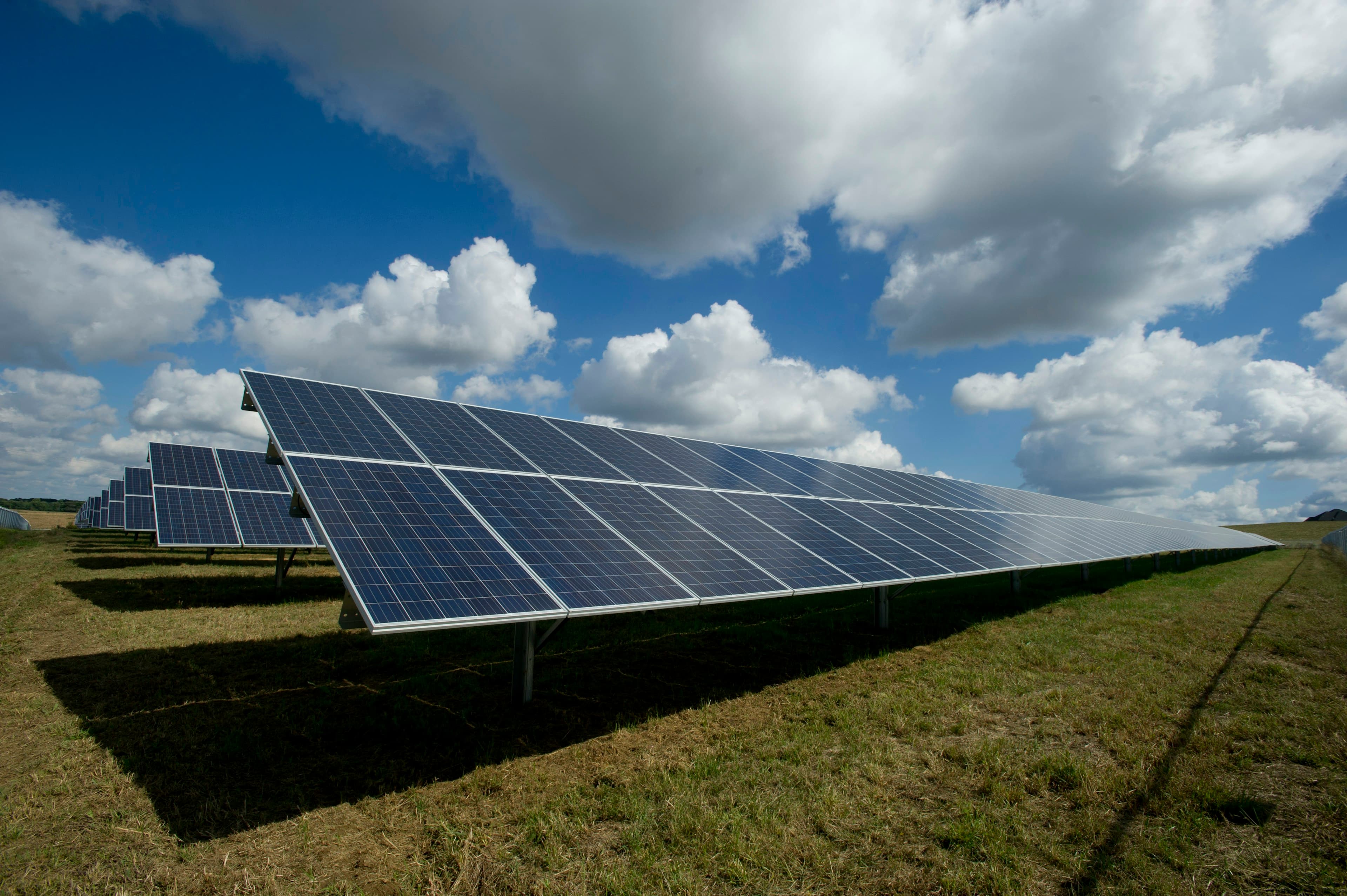 Green Suburb & Sustainability operations and team